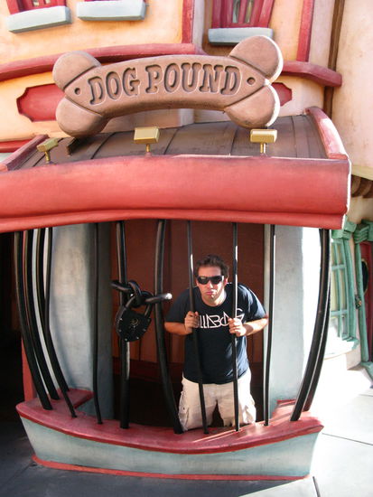 Ach herrje, was hat er jetzt schon wieder ausgebrochen?