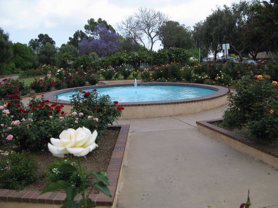 Auch beim riesigen Rosengarten schauten wir vorbei.
