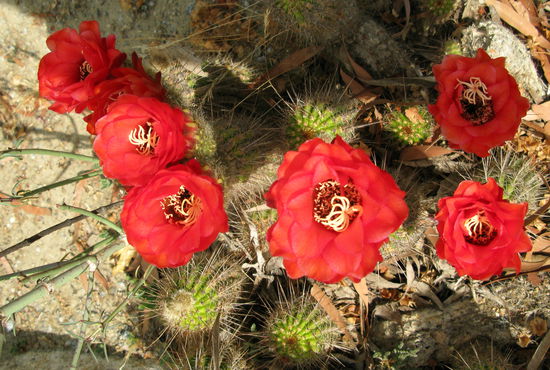 ...zum Staunen brachte!