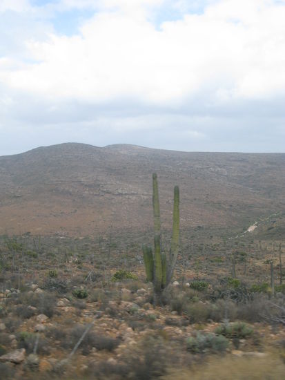 ...weit &amp; breit Kakteen zu sehen...