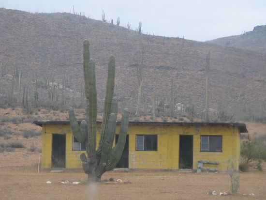 Hier würd es uns bestimmt auch gefallen.