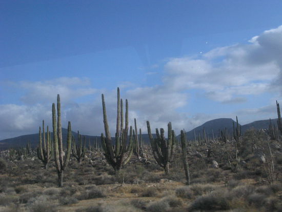 Die Wolken verziehen sich immer mehr und endlich zeigt sich der blaue Himmel.