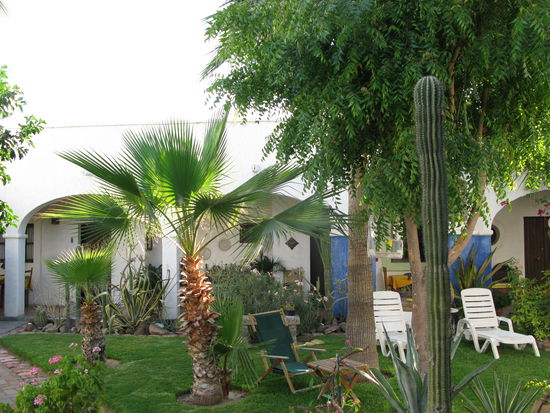 Die Unterkunft "El Angel Azul" in La Paz wird von einer Schweizerin betrieben...