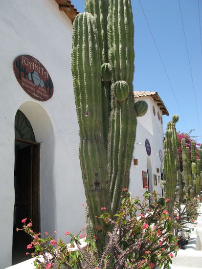 ...das mexikanische Feeling hat uns einfach beeindruckt...