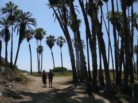 Auf gehts zum Strand...