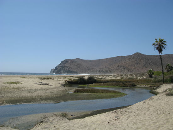 ...welcher sehr einsam &amp; verlassen war.