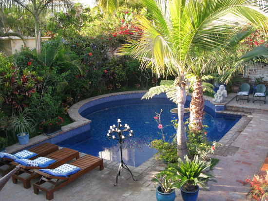 Unsere Unterkunft in Todos Santos. Die Mexikaner verstehen es, Gäste mit grünen Oasen anzulocken.