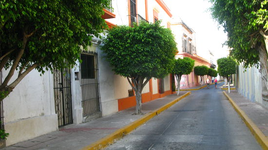 Der Weg in den "Oldtown" mit den grünen Bäumen...