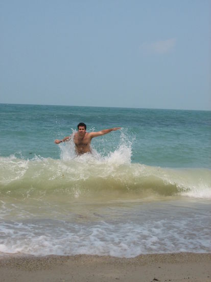 Der Wellenreiter Celo