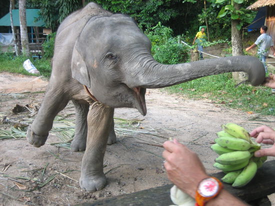Bei unserem Besuch kam auch der Jumbolino nicht zu kurz. 