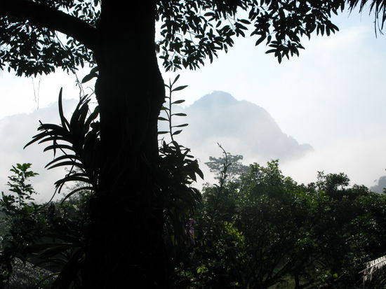 Aussicht aus dem Zimmer:
Der Morgennebel umhuellt den Nationalpark.