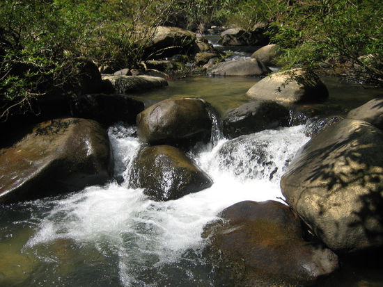 Suesser kleiner Wasserfall