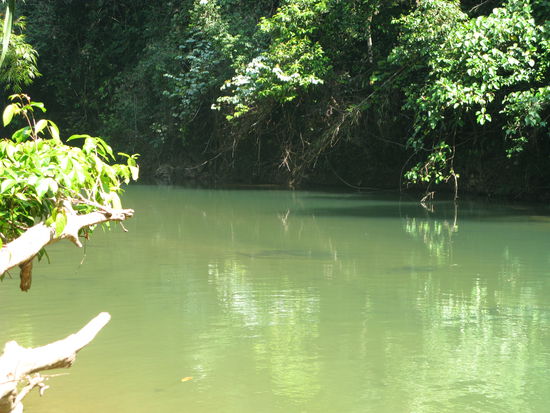 Den Badepool hatten wir fuer uns alleine...