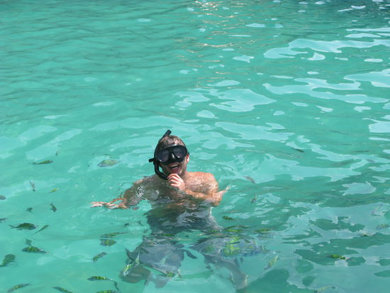 Celo umgeben von Fischen...