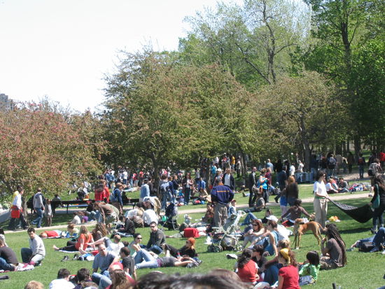 Realexing im nahegelegenem Park am Monoument Sir George Etienne Cartier.
Da bringt jeder mit was er hat zum trommeln, jounglieren, musizieren und sonstigen Geschicklichkeiten.