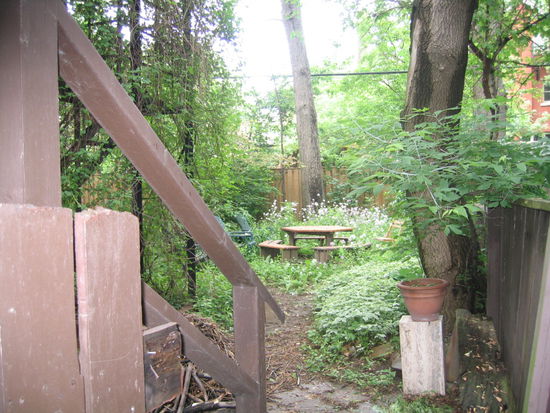 der Garten ist verwildert. Auf Anfrage bekam ich keine ausreichende Antwort, der Besitzer ist grad nicht da!