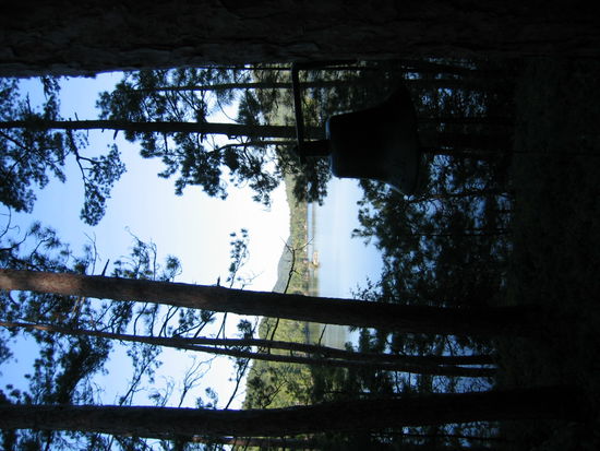 Durch die Baeume hindurch war der Sonnenaufgang mitzuerleben