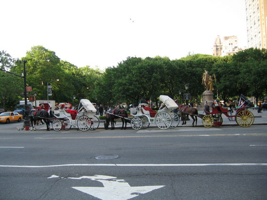Und am Abend nach dem Geschaeftsbummel eine kleine Kutschenfahrt, am Rande des Central Parks in der 5th Avenue, gefragt?