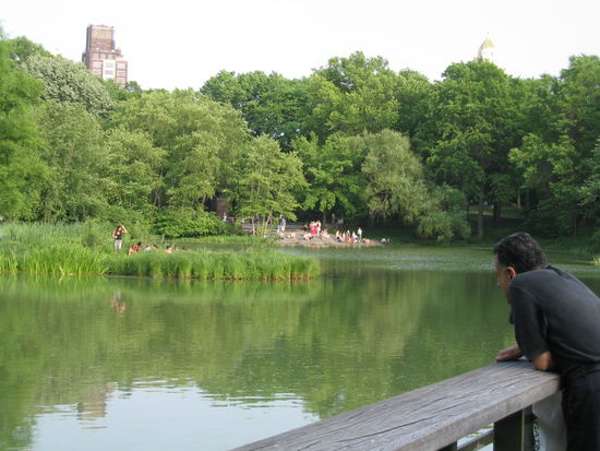 oder einfach geruhsam den Fischen zusehen