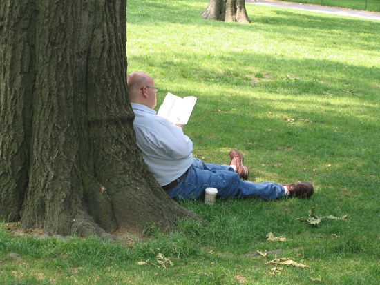 Aber auch ein gutes Buch im Schatten eines Baumes gelesen
