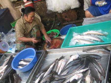Kopf ab und rein in die Fischsuppe