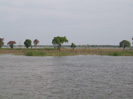 Als sich dann der Flusslauf teilte und das Wasser und Landschaft immer flacher wurden, kündigte sich der Tonle Sap See unweigerlich an.