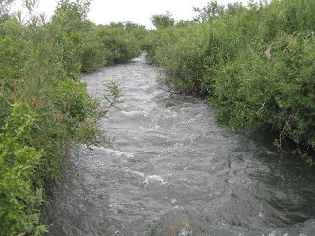 Fast heimatliche Gefühle, und dies am Mekong