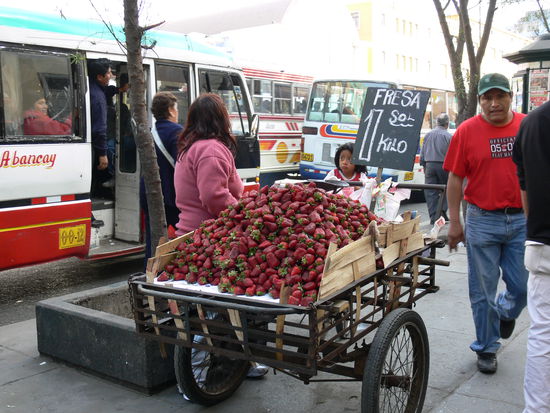 An Skorbut stirbt hier auch keiner.
(umgerechnet 20 Cent pro Kilo Erdbeeren)