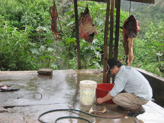Gleich gegenueber des Camps durften wir und neben uns saemtliche Hunde der Umgebung beim Schlachten einer Kuh zusehen. Chrstian, Dir waere das Herz aufgegangen : )!