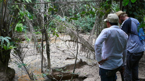 Eine der unzaehligen Wildschweinsulen