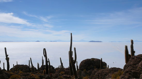 Am Horizont sind immer wieder Vulkane der Andenkette zu sehen.