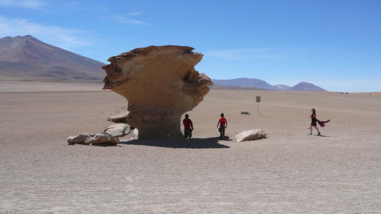Kleine Hightlights sind immer wieder skurile Steingebilde wie dieser " Arbol de Piedra" (Steinbaum).