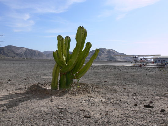 Flughafen - mitten in der Wueste