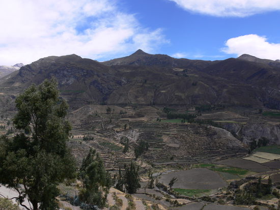 typisch: die Inkaterrassen