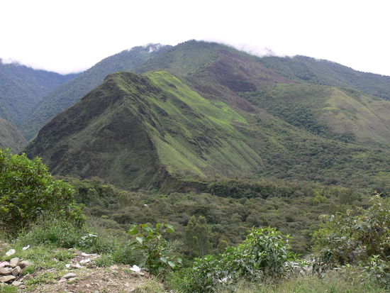 Auch in den Hoehen alles gruen, ist schliesslich auch schon die Grenze zum Regenwald (Bananen und Avocados wachsen hier am Strassenrand)