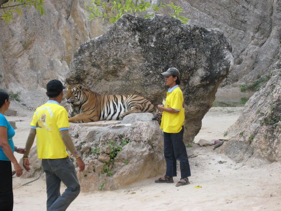 Tiger-Temple
