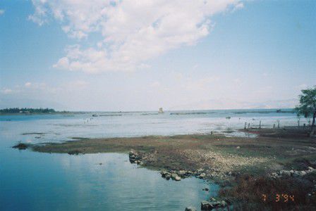 am See