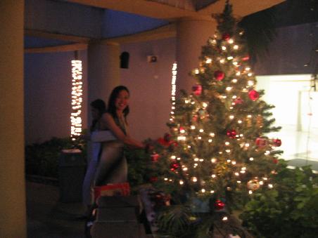 Der Weihnachtsbaum darf nicht fehlen...