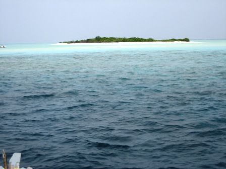 die erste Insel