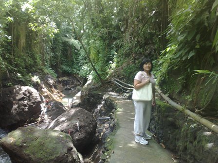 im Monkey forest
