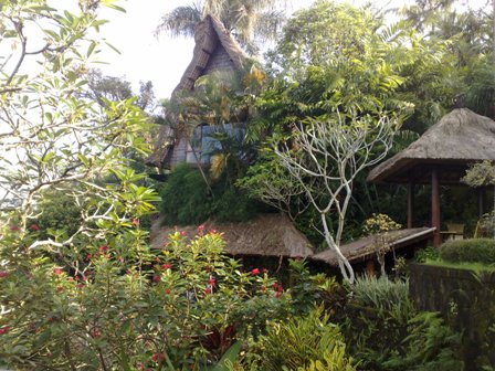 im Kupu Kupu Barong
