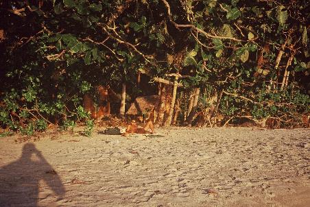am beach...