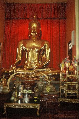 golden buddha