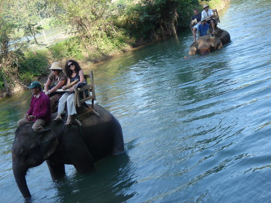 Elefant Riding mit Osvaldo und Diego