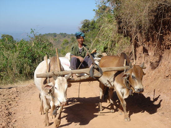 Unterwegs in den Bergen