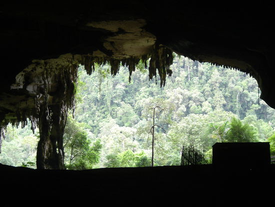 Niah Caves Eingang