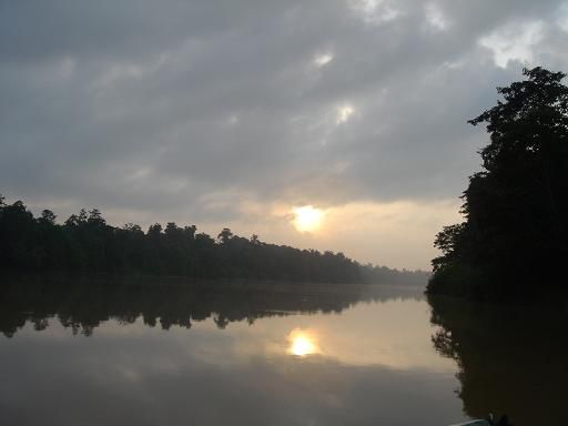 morgens auf dem Kinabatangan Fluss