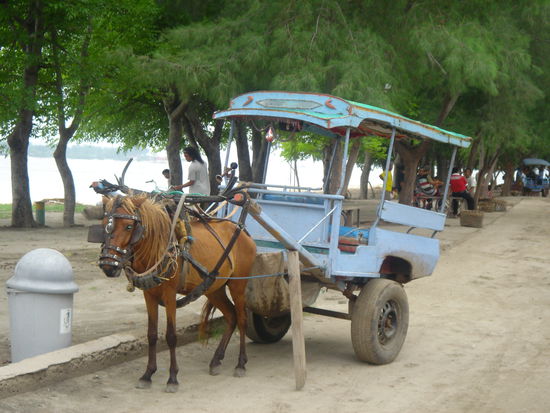 Transportmittel auf den Gilis
