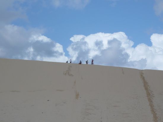 Auf der Sandduene