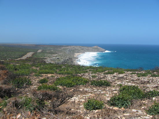 Blick auf die Remarkable Rocks